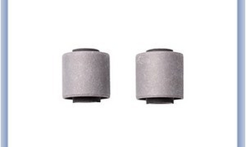 بوش دوشاخ رام