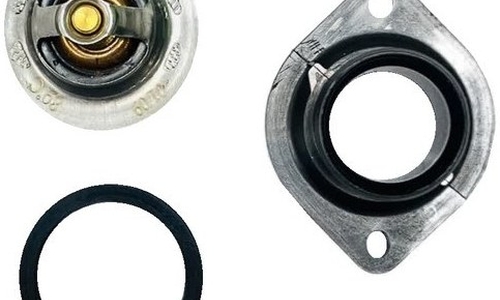 ترموستات همراه با درب ترموستات و واشر آببندی